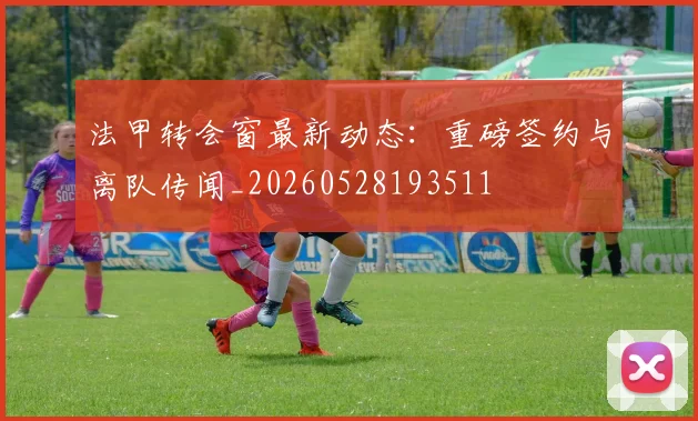 法甲转会窗最新动态:重磅签约与离队传闻_20260528193511